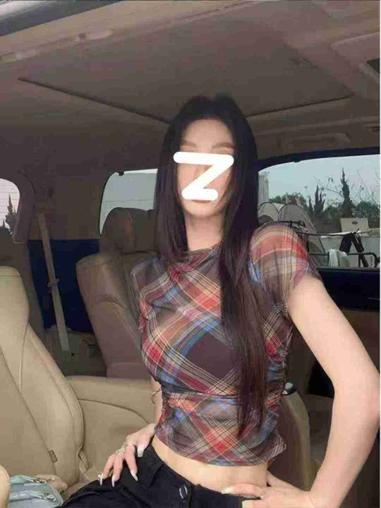 美式复古格子网纱短袖
