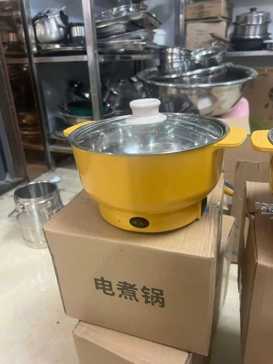 20公分电煮锅，10