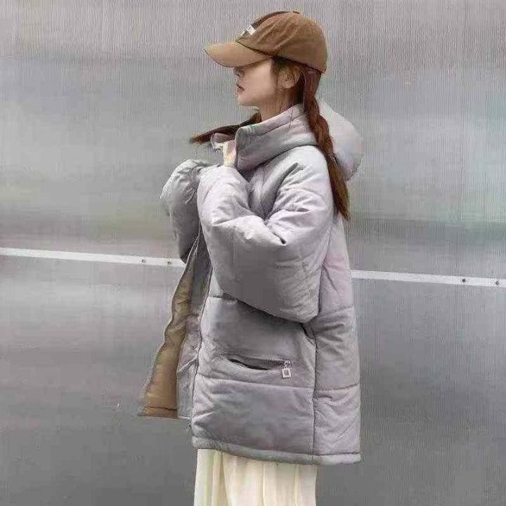全清价24.8元，分