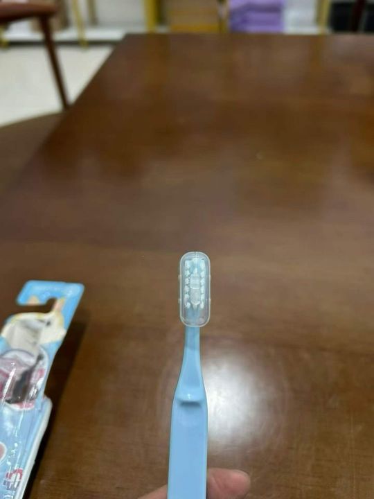 日本 小盏花 儿童牙