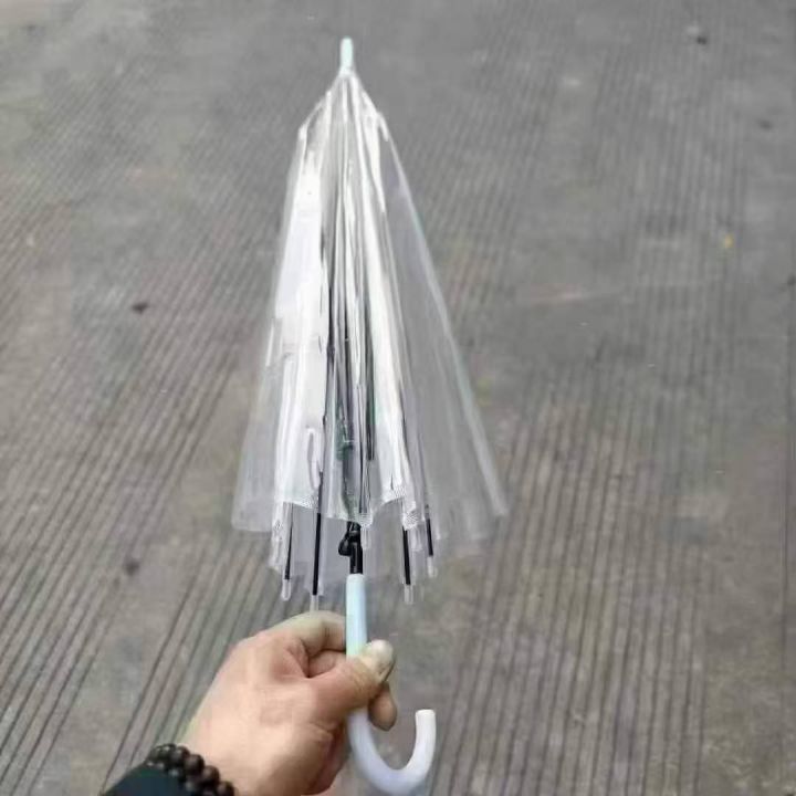 透明伞10000支，