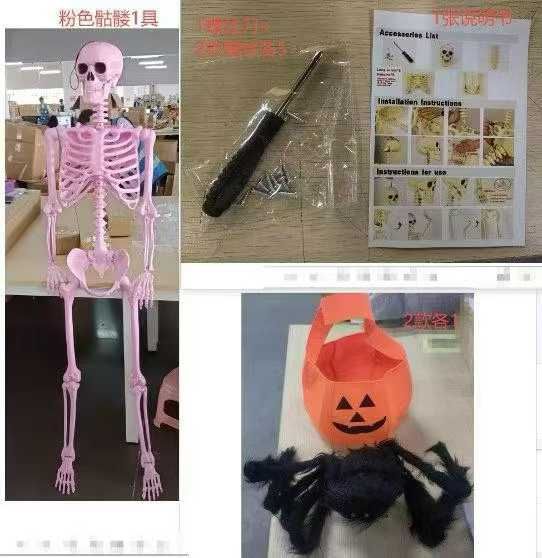 骷髅，塑胶材质模型1