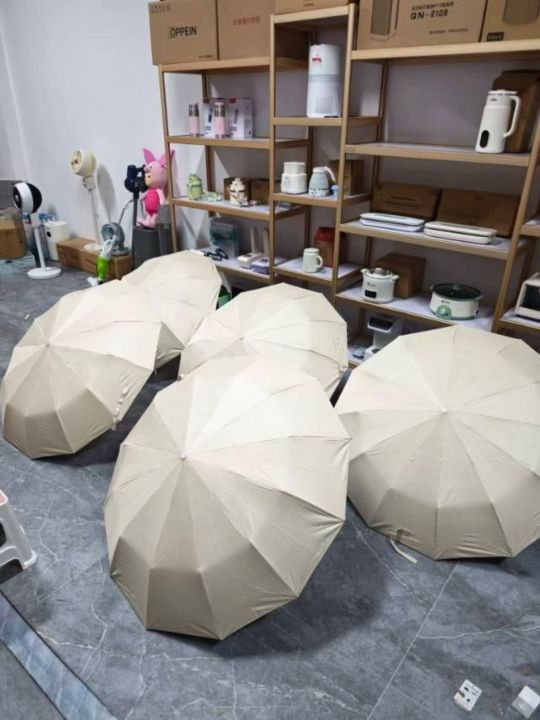 12骨2+2全自动2