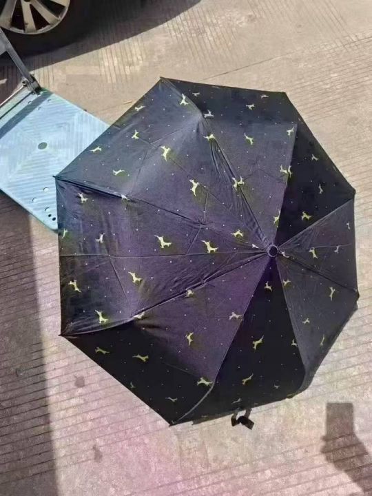 黑胶自动伞，300把