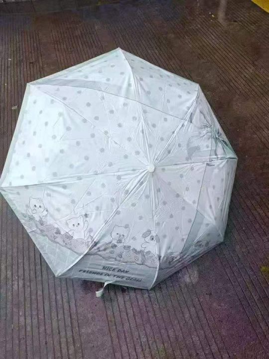 混款自动伞800支，