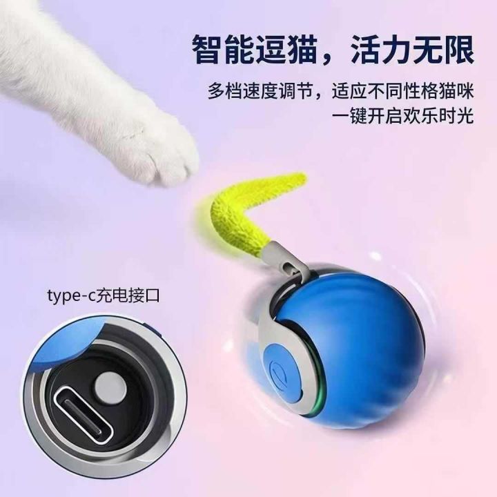电动宠物玩具   2