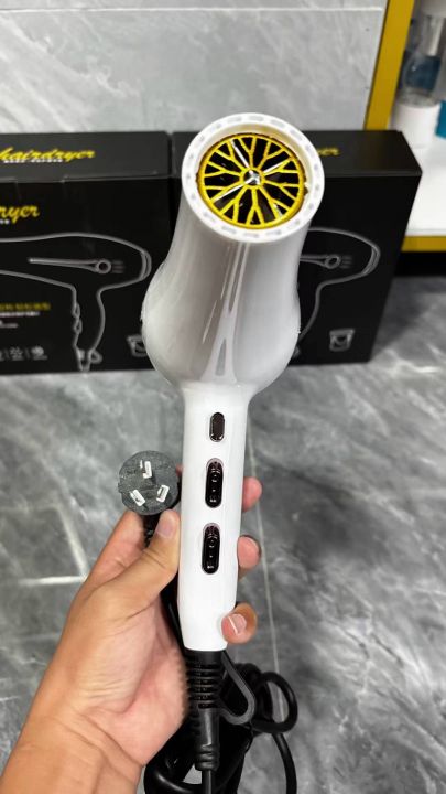 220v高档交流吹风