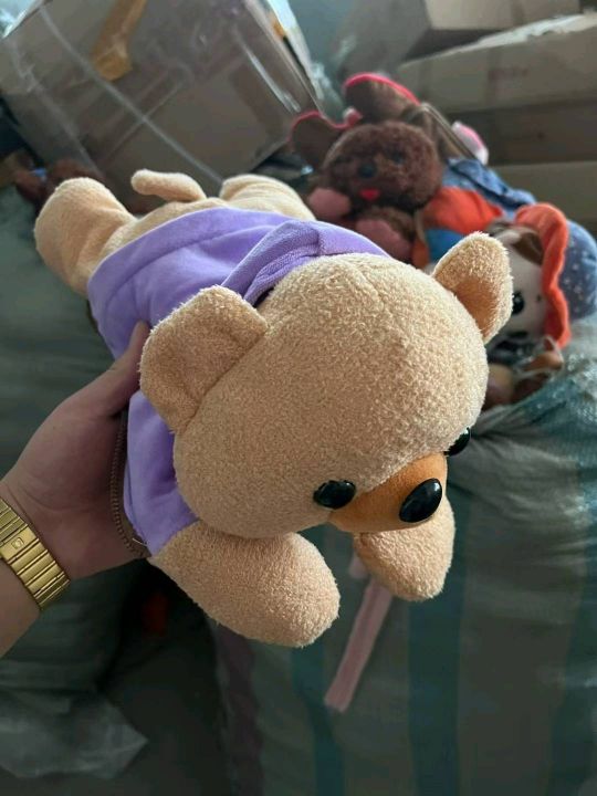 毛绒玩具到货1万多个